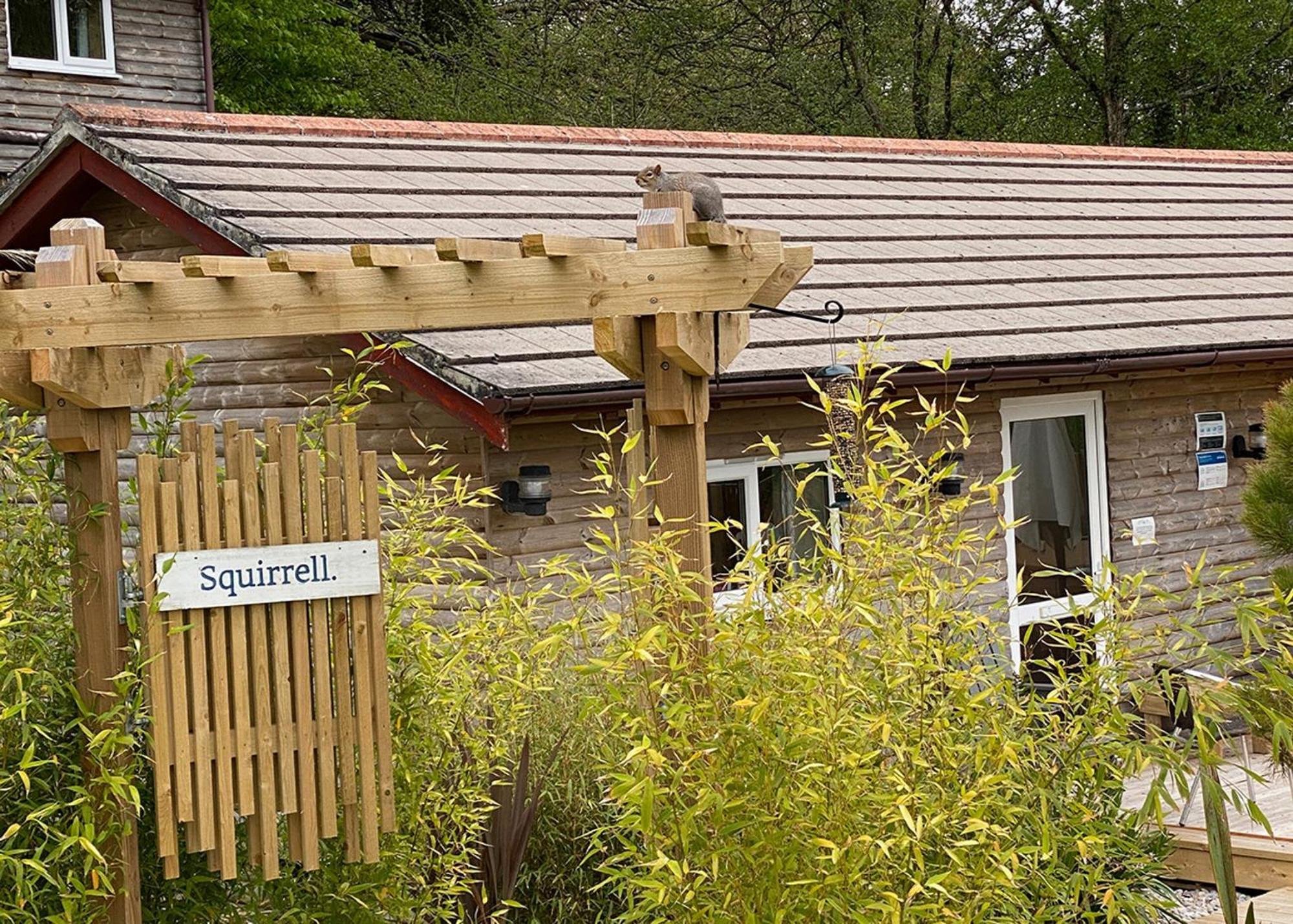 Ivyleaf Combe Lodges Stratton  Экстерьер фото